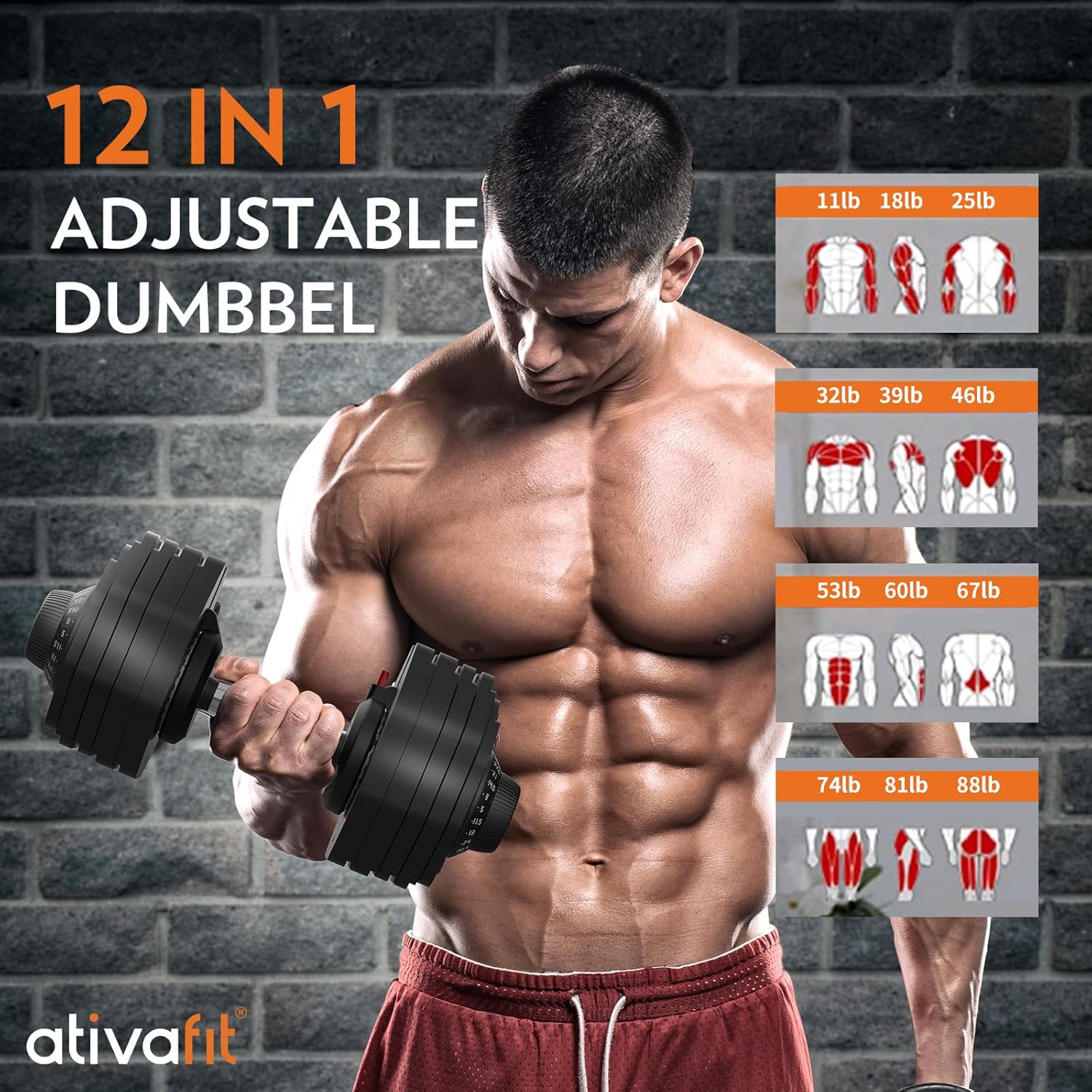 27.5/66/88LBS Pair Adjustable Dumbbell Set with Anti-slip Handle 12 In 1 Quick Dial Adjustment Weights With Safety Locking Button Space Saving Strength Training for Full Body Home Gym Workout